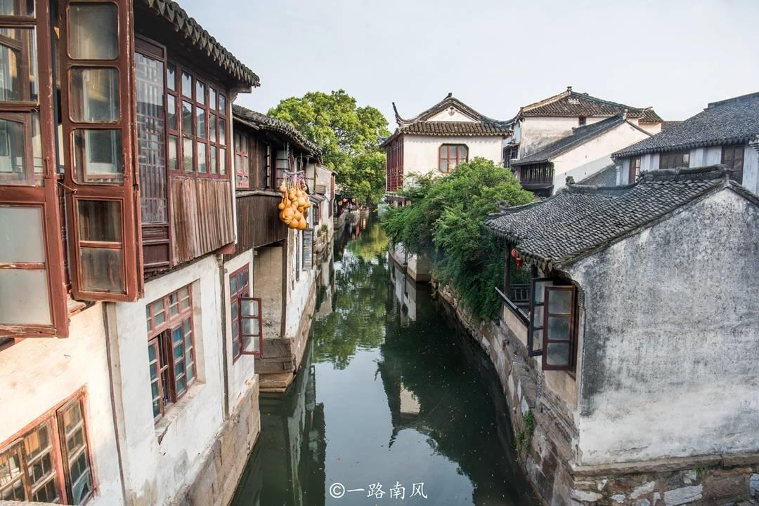 逃离橡子树种植地